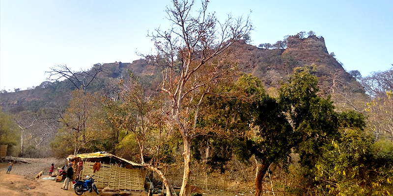 blog_View-of-Rajgarh-Fort
