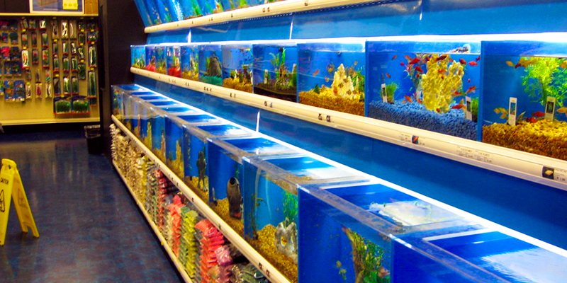 Marine Aquarium