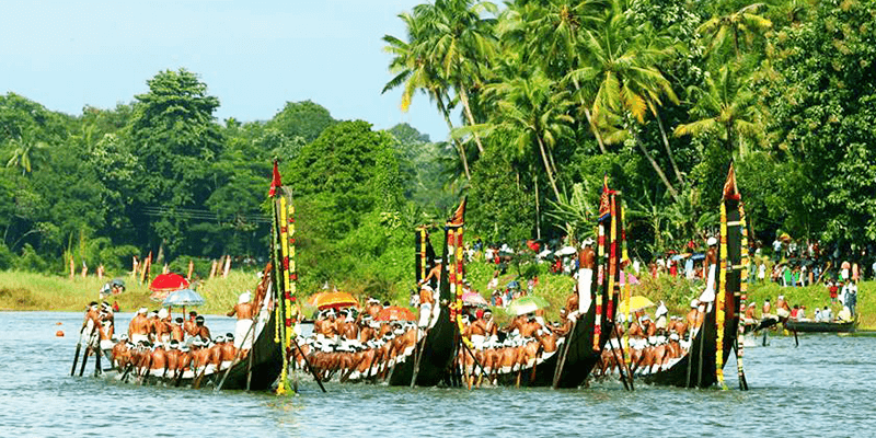 Snake Boat Race