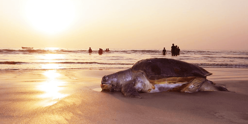 Kashid Beach