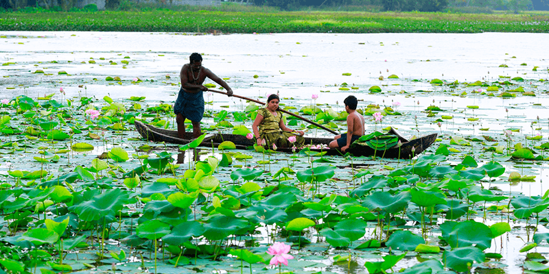 Vellayani Kayal images
