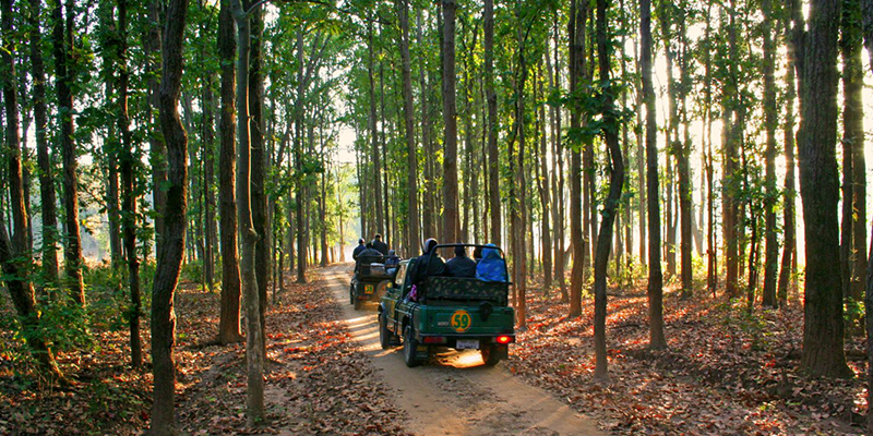 Blog-Post-For_-Environment-Day-Special_Kanha-National_3