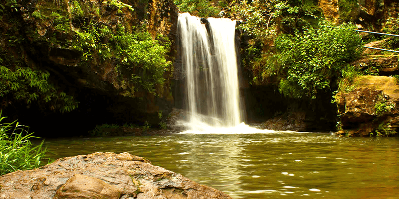 Bee Falls