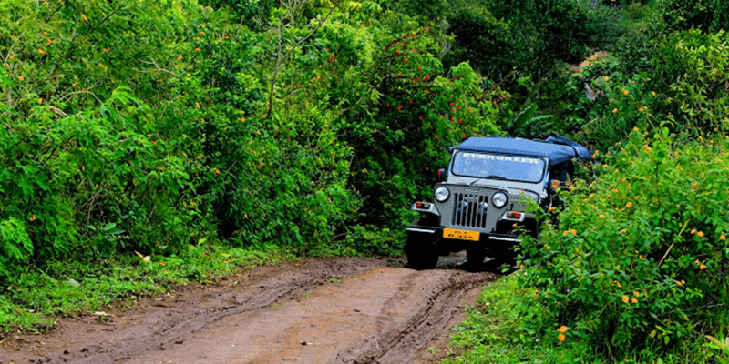 Gavi forests safari