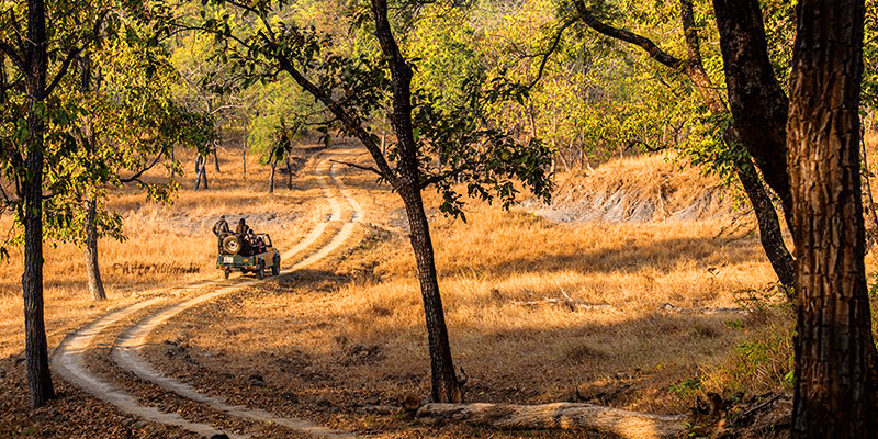 Satpura National Park