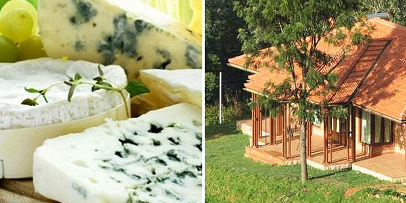 farm stay